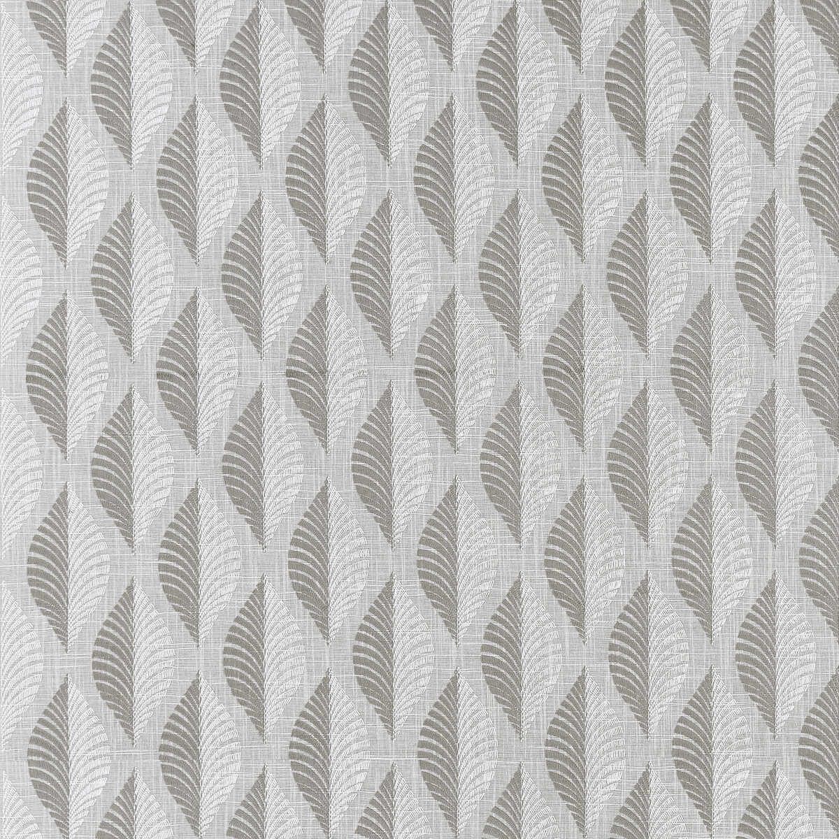 Aspen - Charcoal