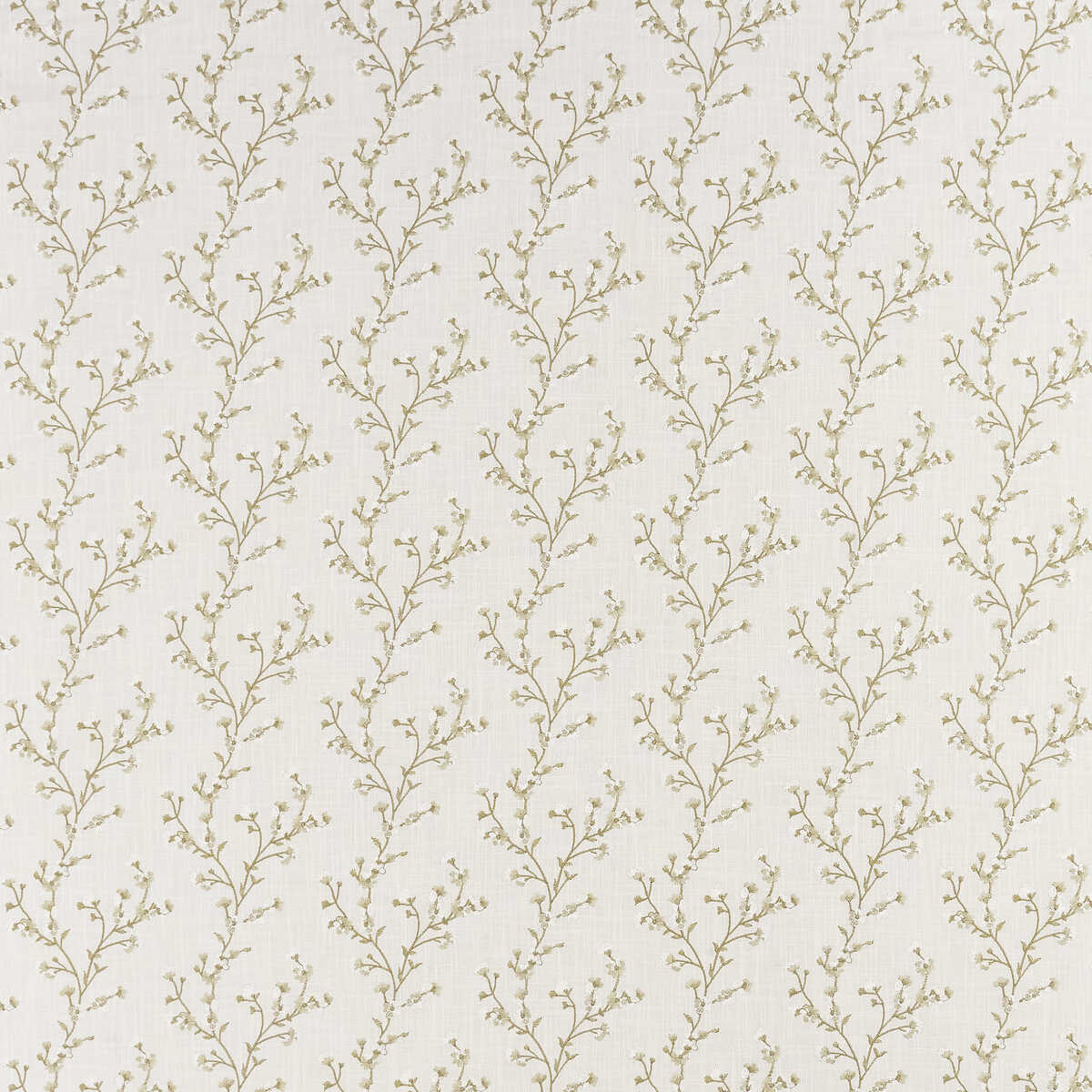 Blossom - Ivory