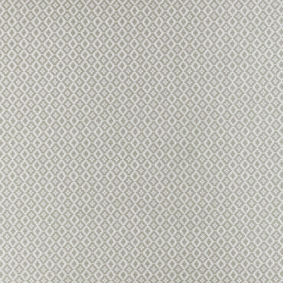 Mono - Silver - CLARKE AND CLARKE Fabric