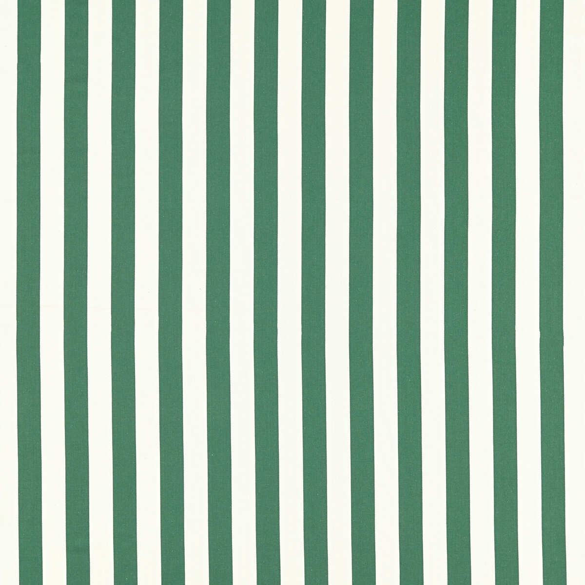 Portland - Racing Green - CLARKE AND CLARKE Fabric