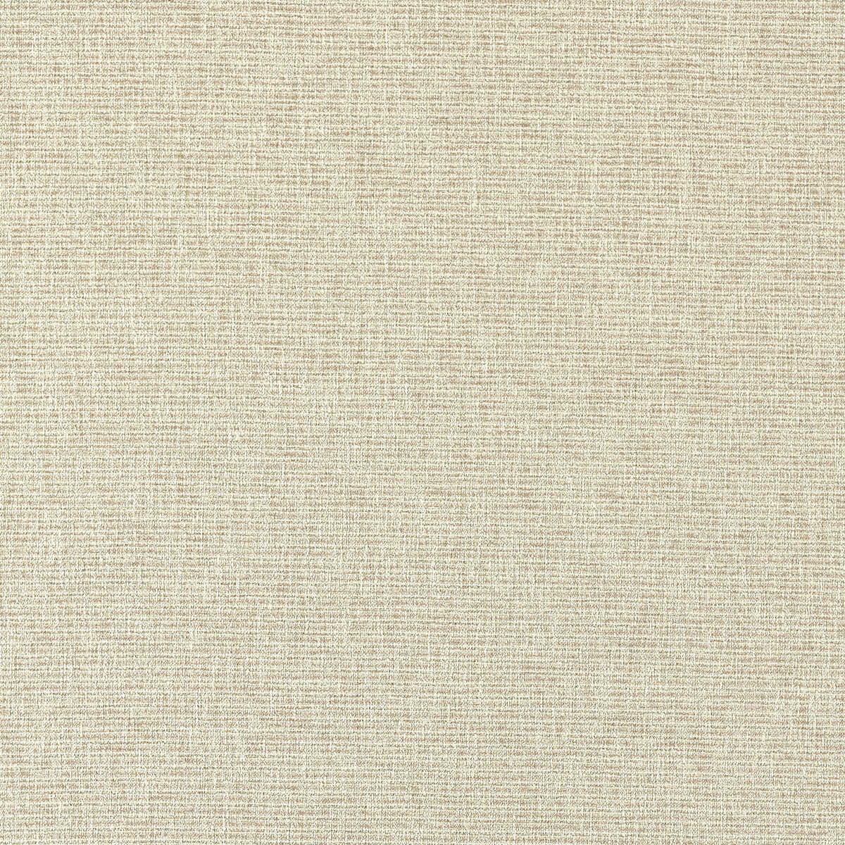Avani - Linen - CLARKE AND CLARKE Fabric
