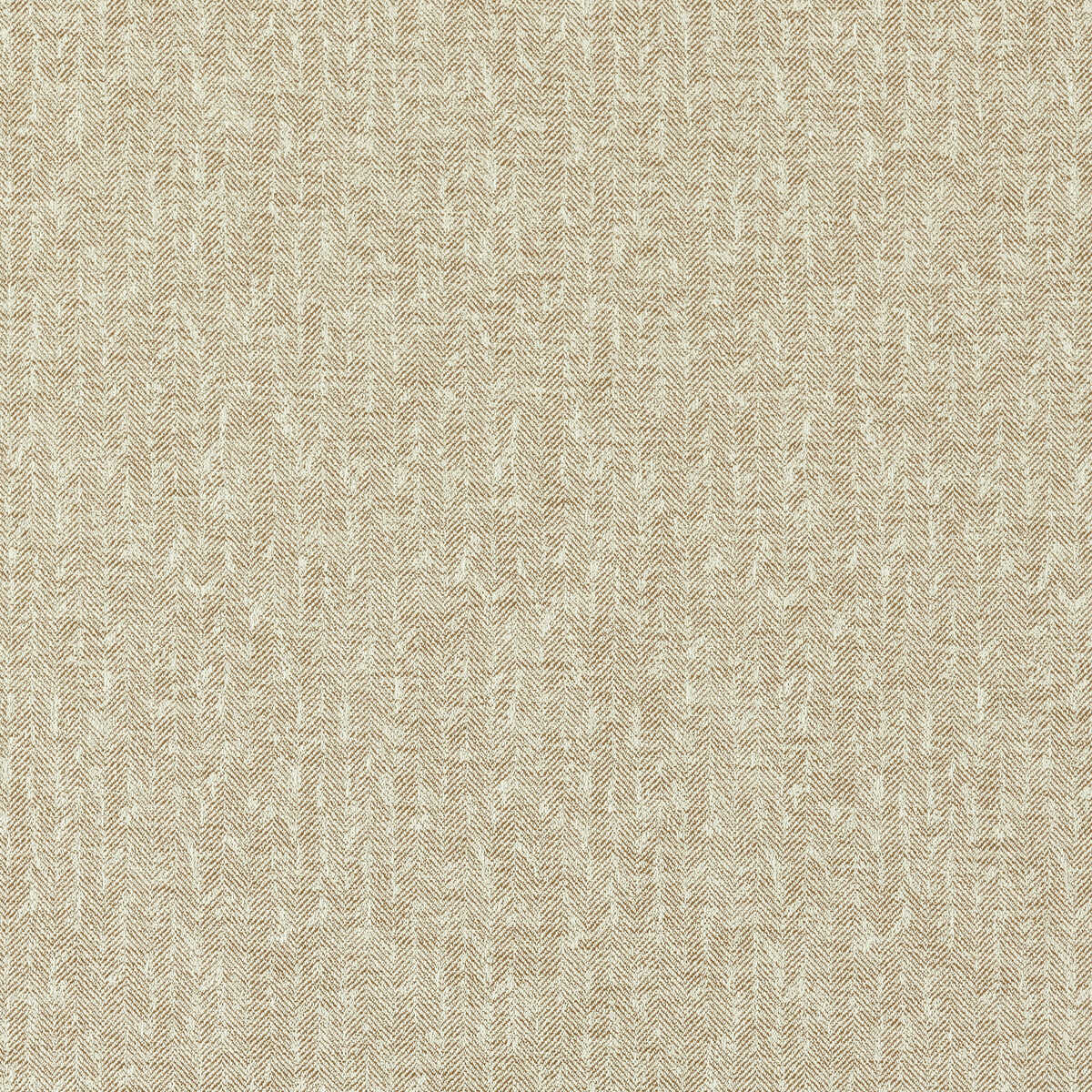 Tierra - Antique - CLARKE AND CLARKE Fabric