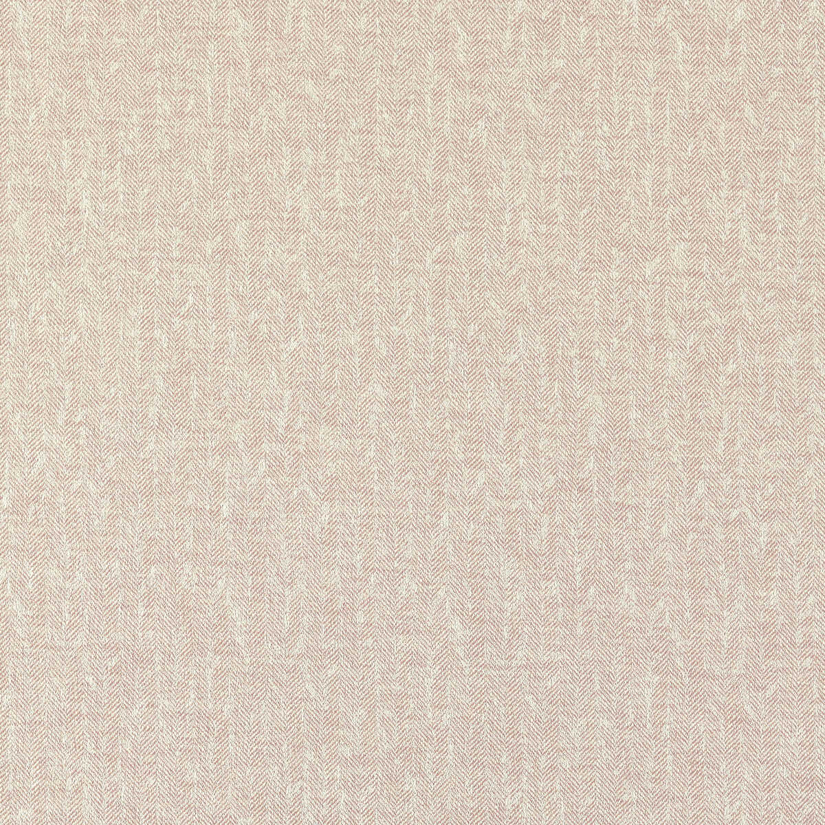 Tierra - Blush - CLARKE AND CLARKE Fabric