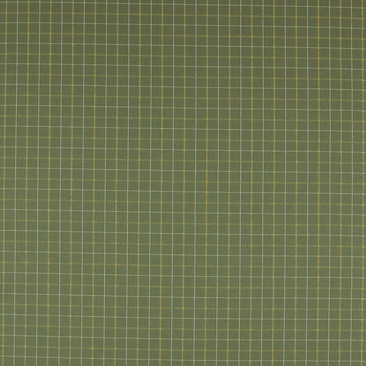 Thornton - Moss - CLARKE AND CLARKE Fabric