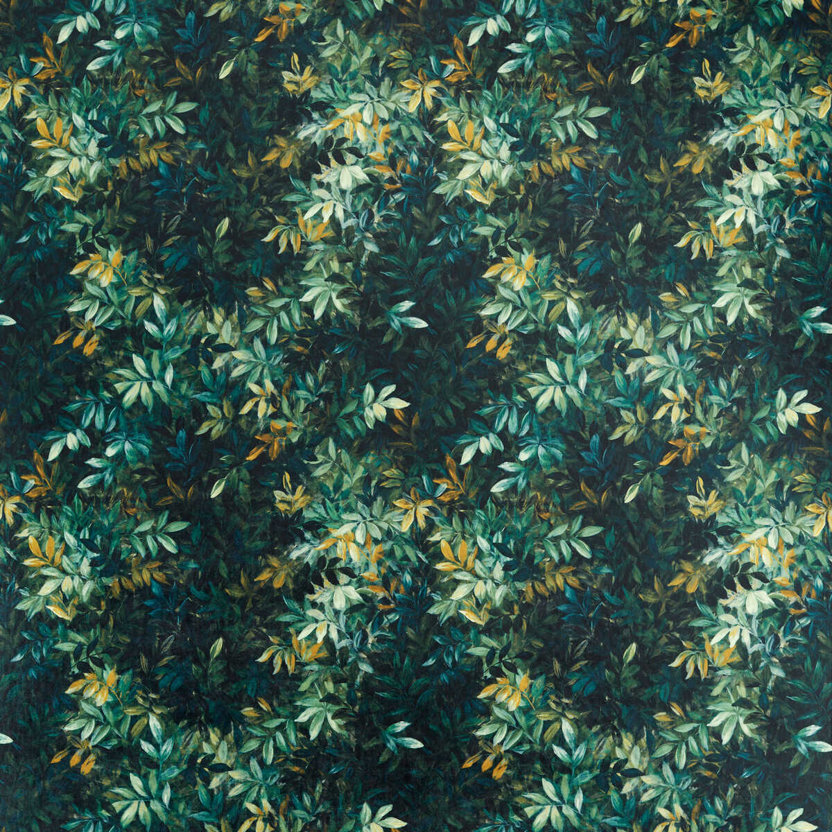 Congo - Forest Velvet