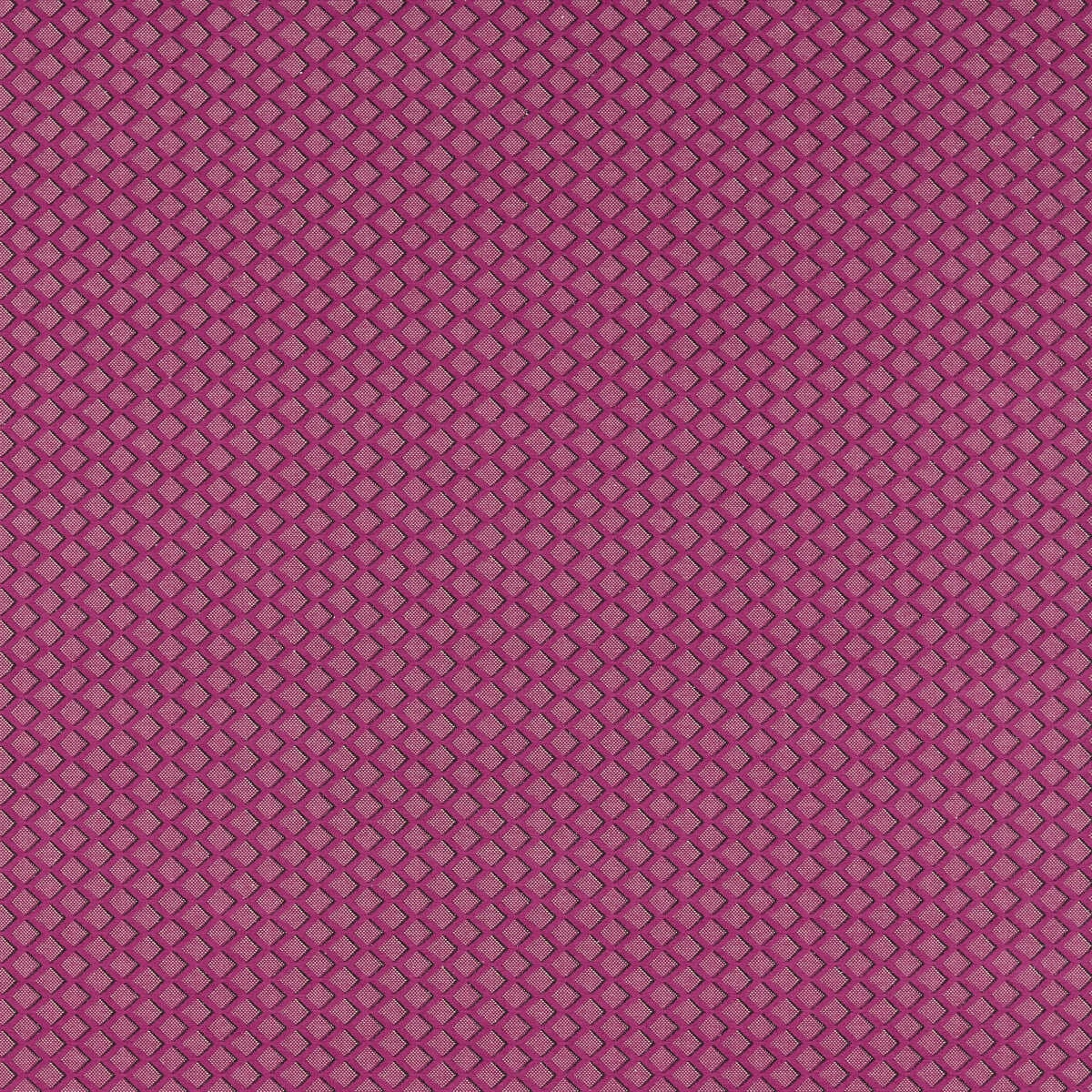 Equator - Raspberry - CLARKE AND CLARKE Fabric
