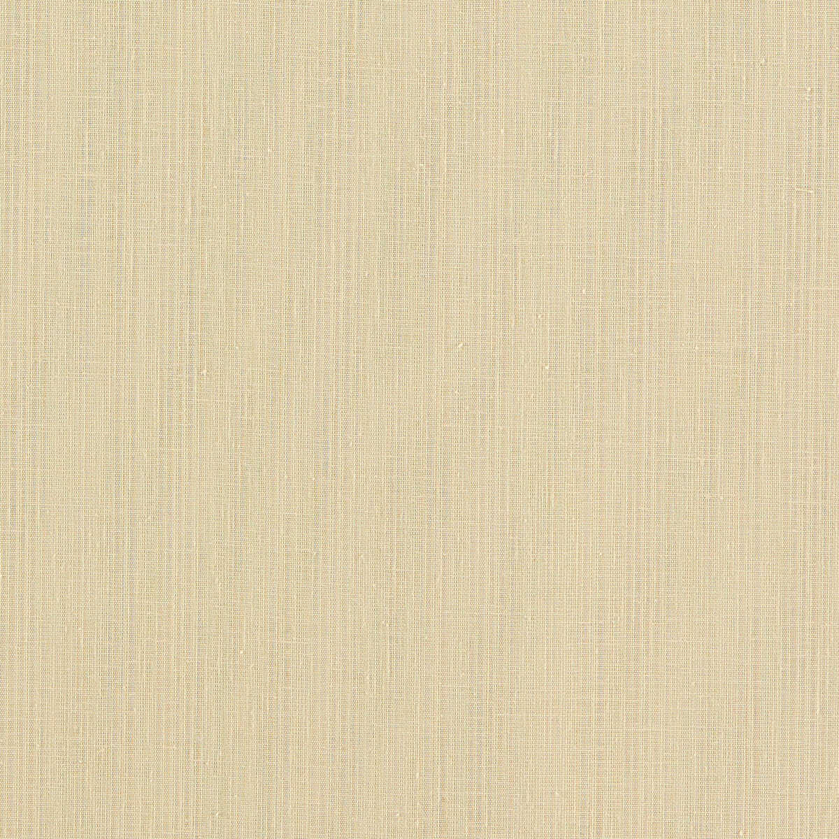 Remo - Raffia - CLARKE AND CLARKE Fabric