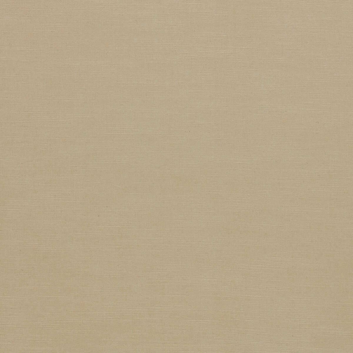 Paradiso - Buff - CLARKE AND CLARKE Fabric