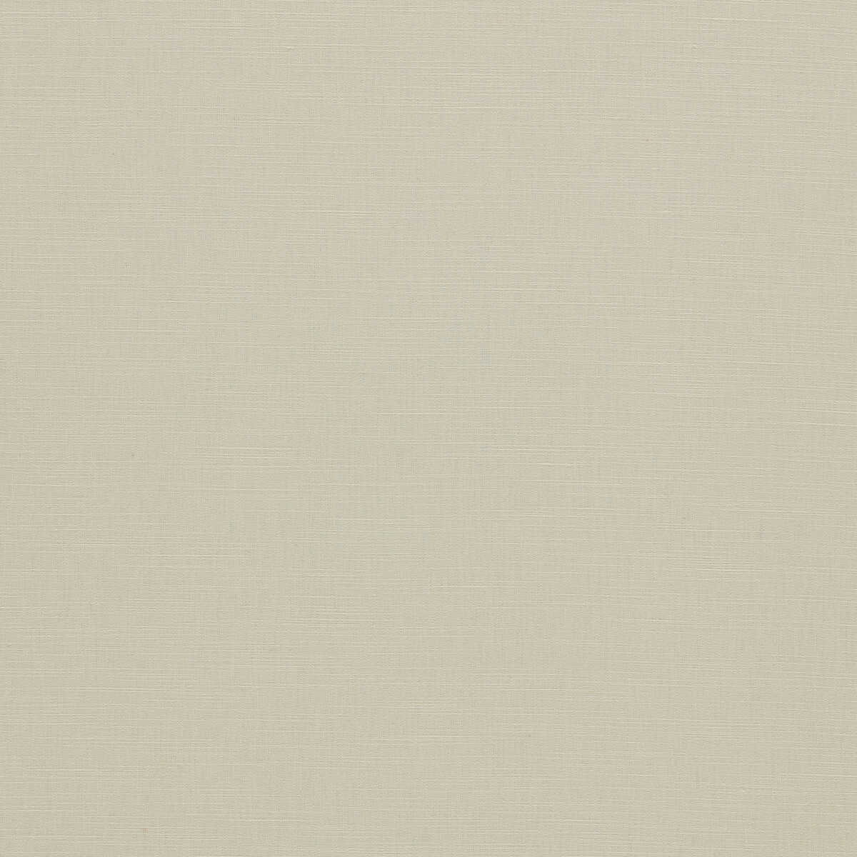 Paradiso - Ivory - CLARKE AND CLARKE Fabric