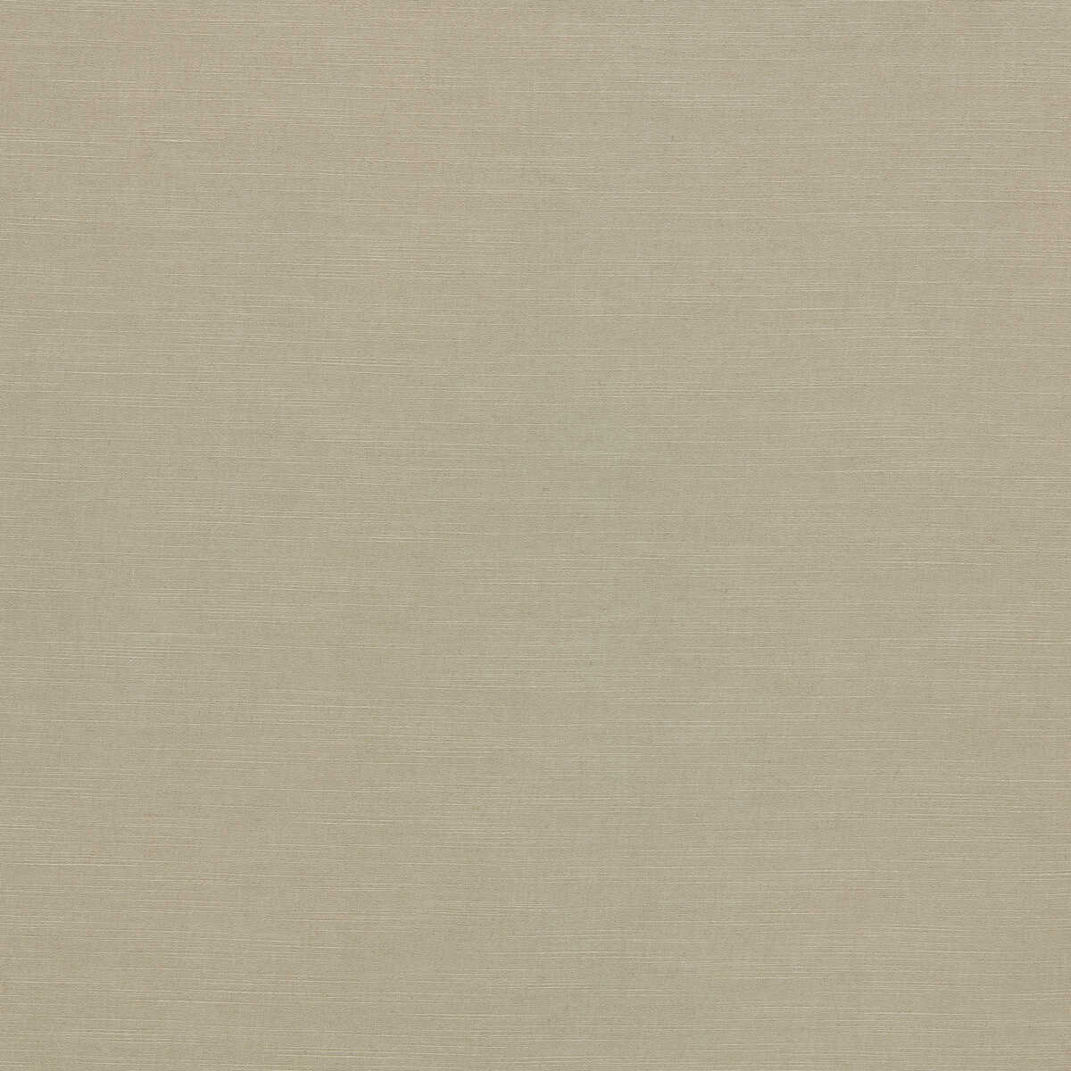 Paradiso - Linen - CLARKE AND CLARKE Fabric