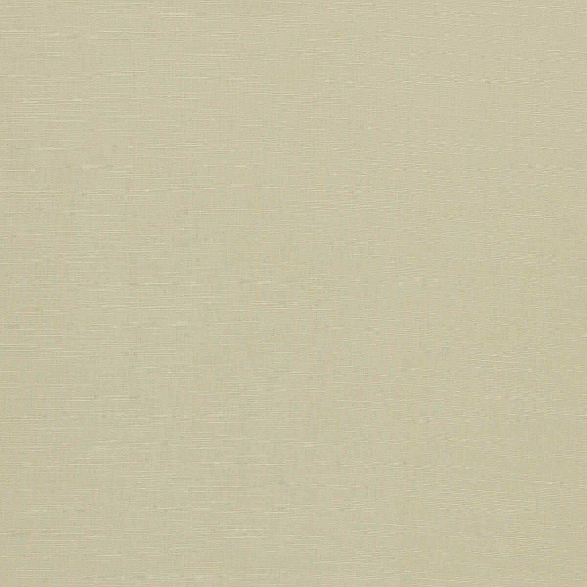 Paradiso - Natural - CLARKE AND CLARKE Fabric