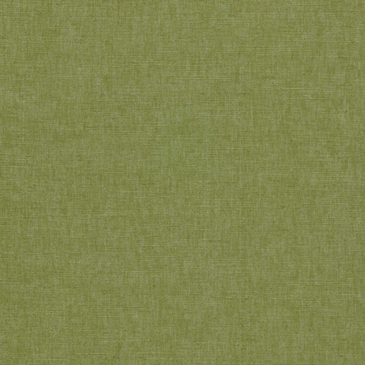 Paradiso - Palm - CLARKE AND CLARKE Fabric