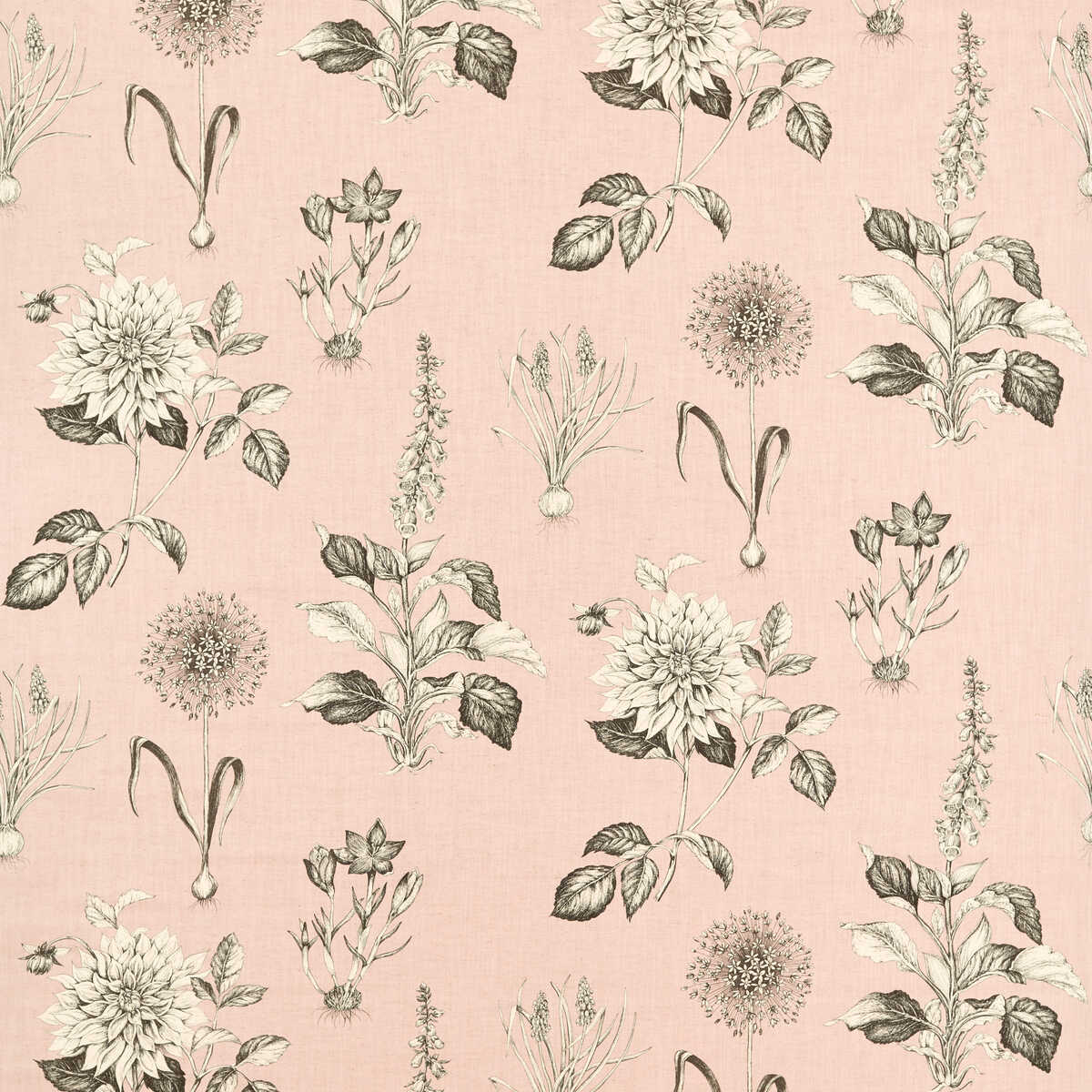 Roseraie - Blush - CLARKE AND CLARKE Fabric
