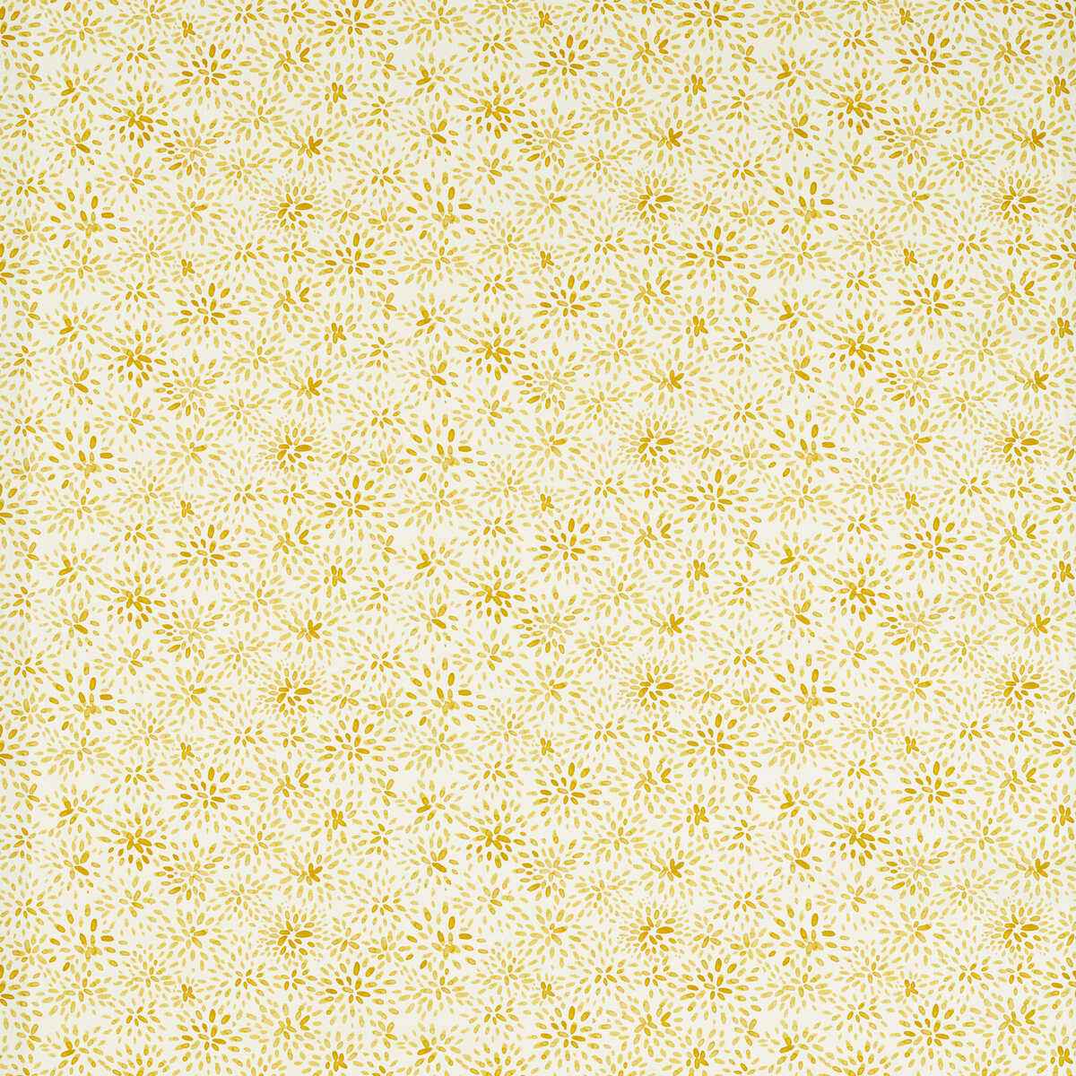F177905cac0 Cara Sunshine Clarke And Clarke Fabric