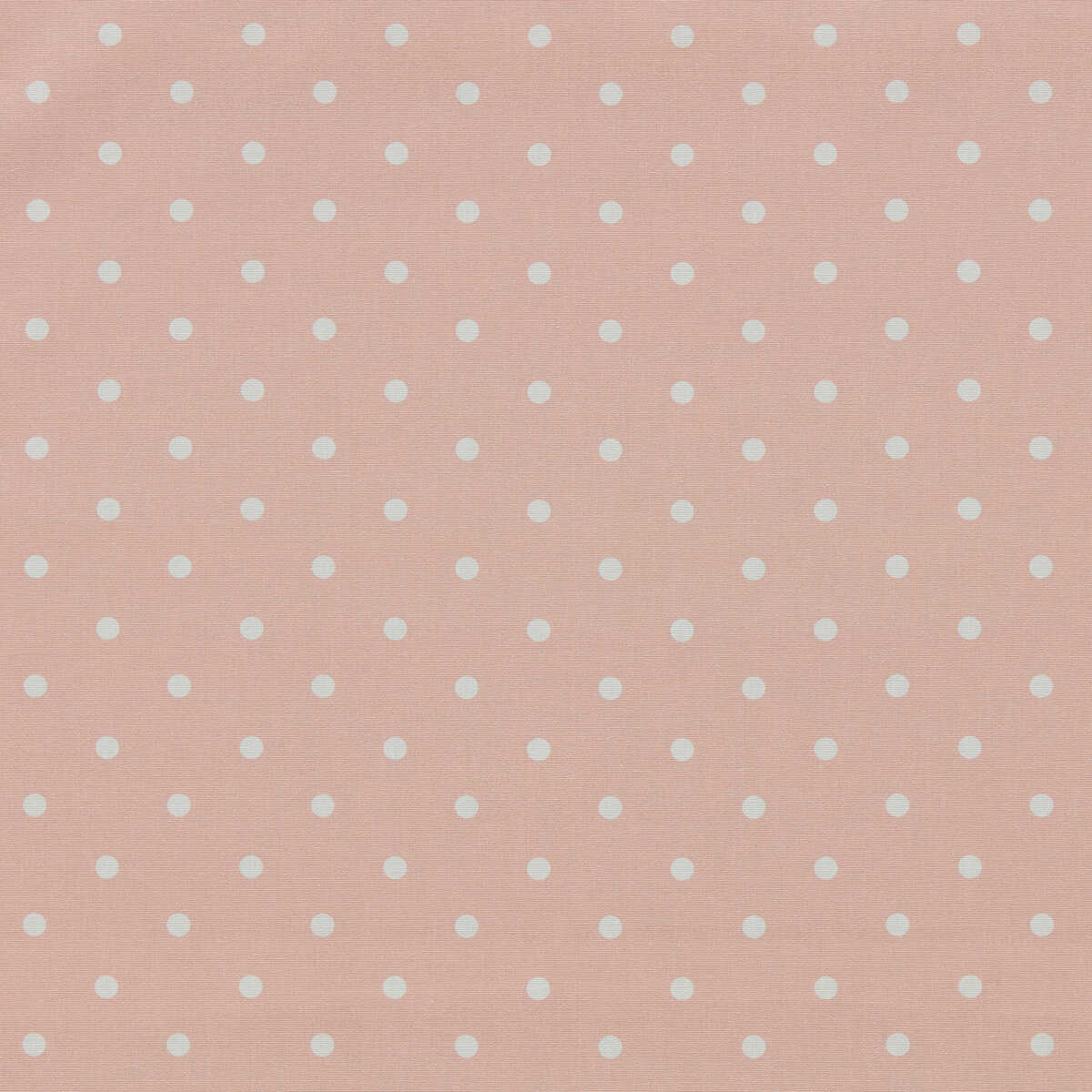 Dotty - Blush
