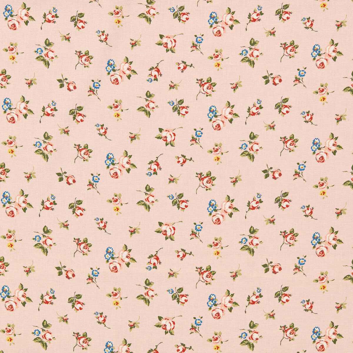 F178501cac0 Rosebud Blush Clarke And Clarke Fabric