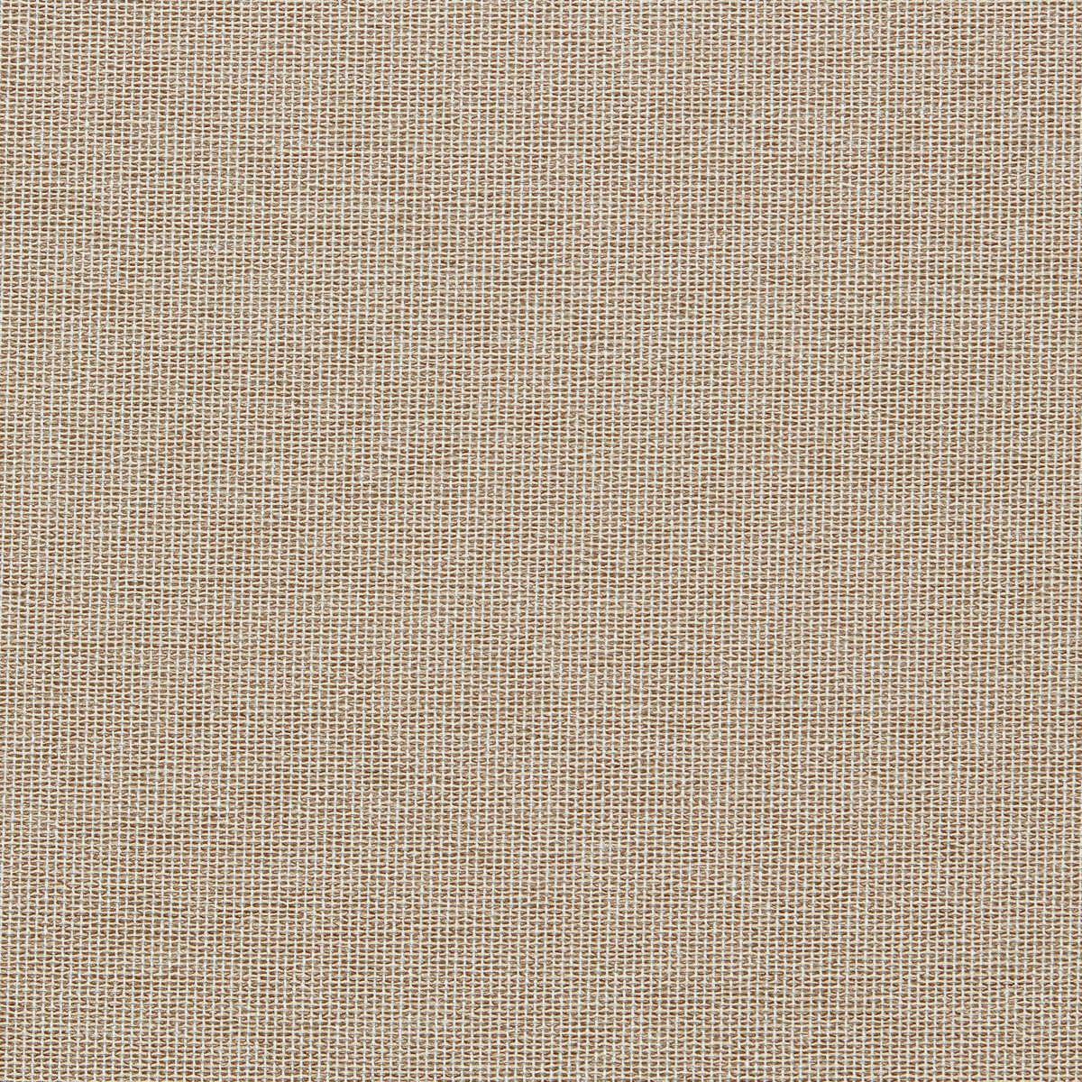 Pontus - Sahara - CLARKE AND CLARKE Fabric