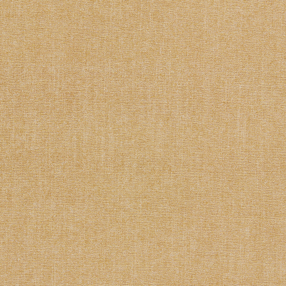 Jaipur - Camel - Clarke And Clarke Fabric