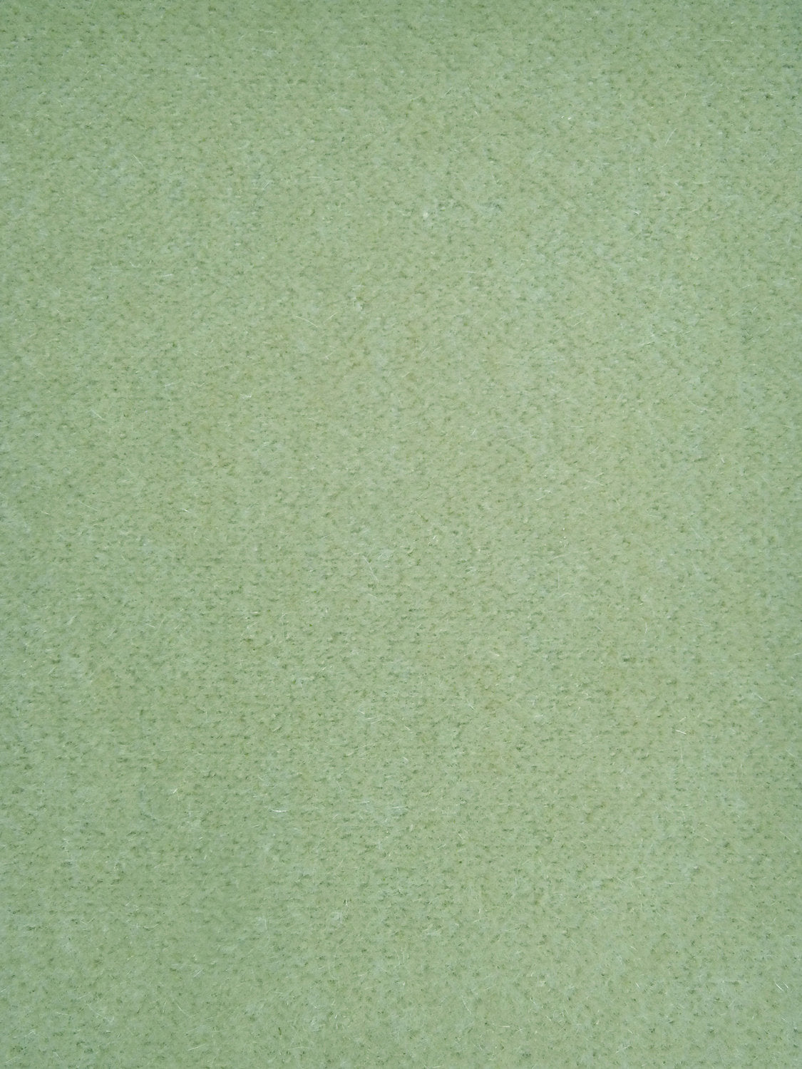 Trianon Velvet Ii - Amande - Scalamandre Fabric