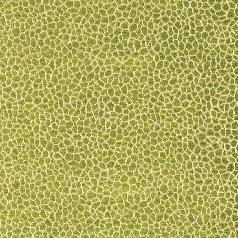 samana-kairi-kiwi-matthew-williamson-f6632-01