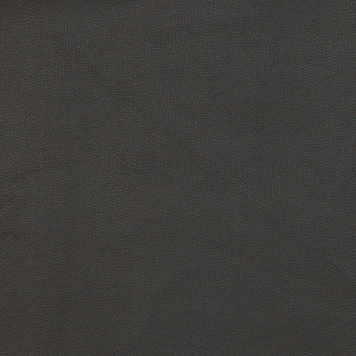 Kravet Design - Fawn-8