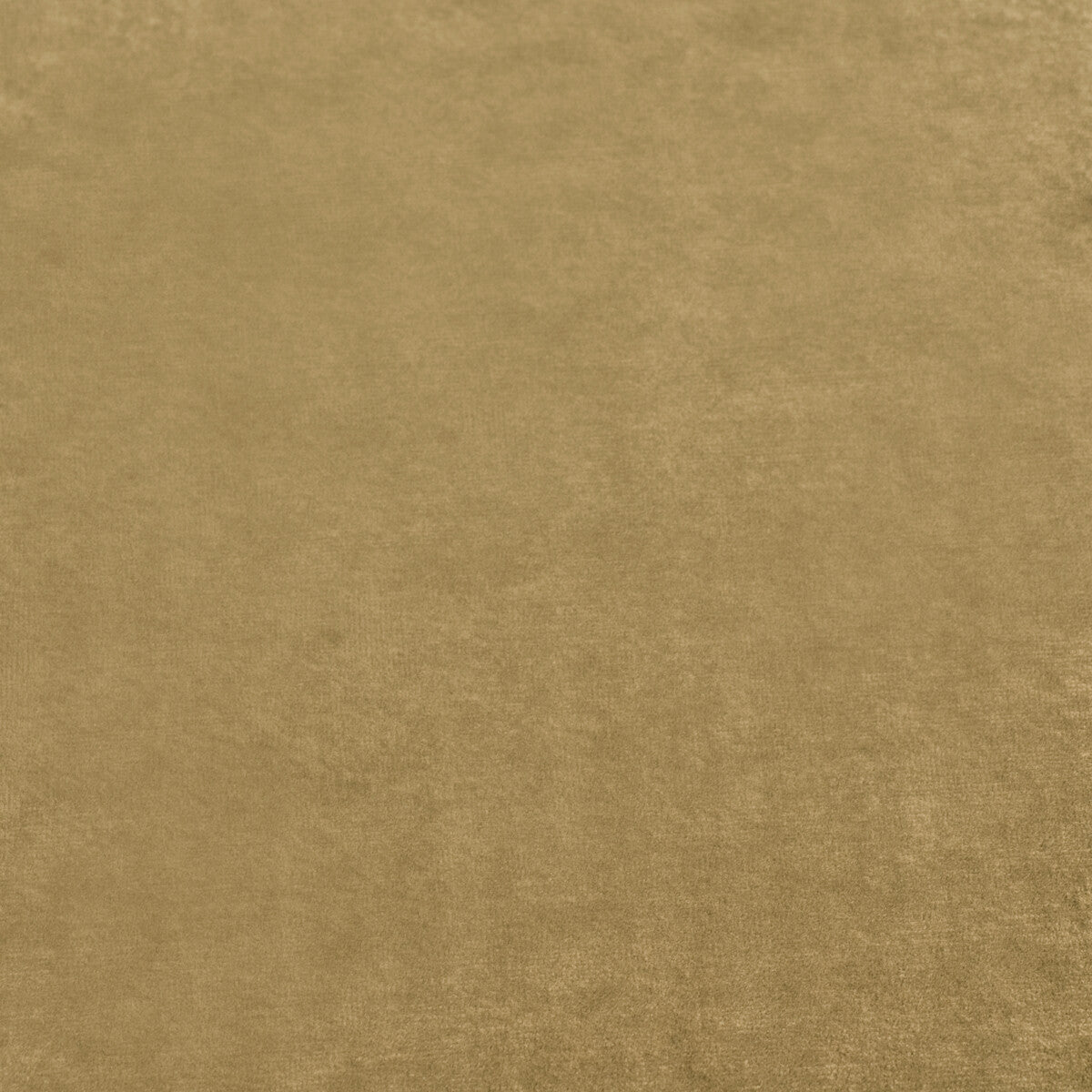 Rossini Velvet - Gold - FD628.T102.0 - Mulberry Fabric