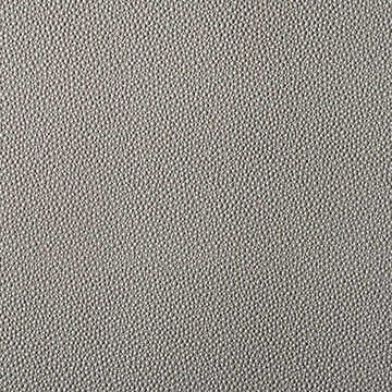 Fetch - Pewter