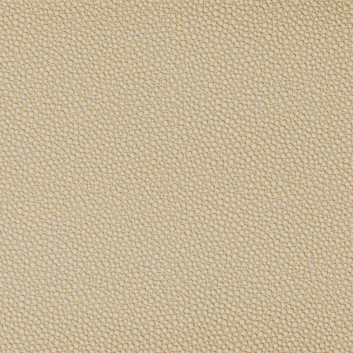 Fetch - Sandbar - KRAVET CONTRACT Fabric