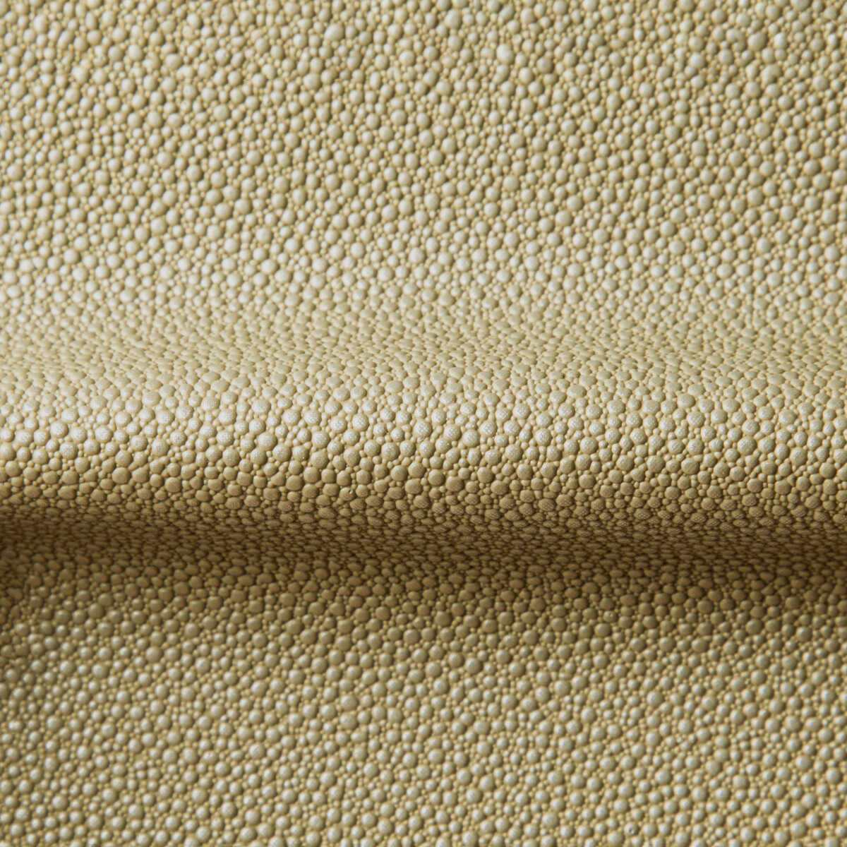 Fetch - Radiant - KRAVET CONTRACT Fabric