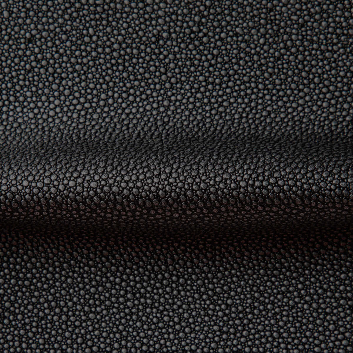 Fetch - Stargazer - KRAVET CONTRACT Fabric