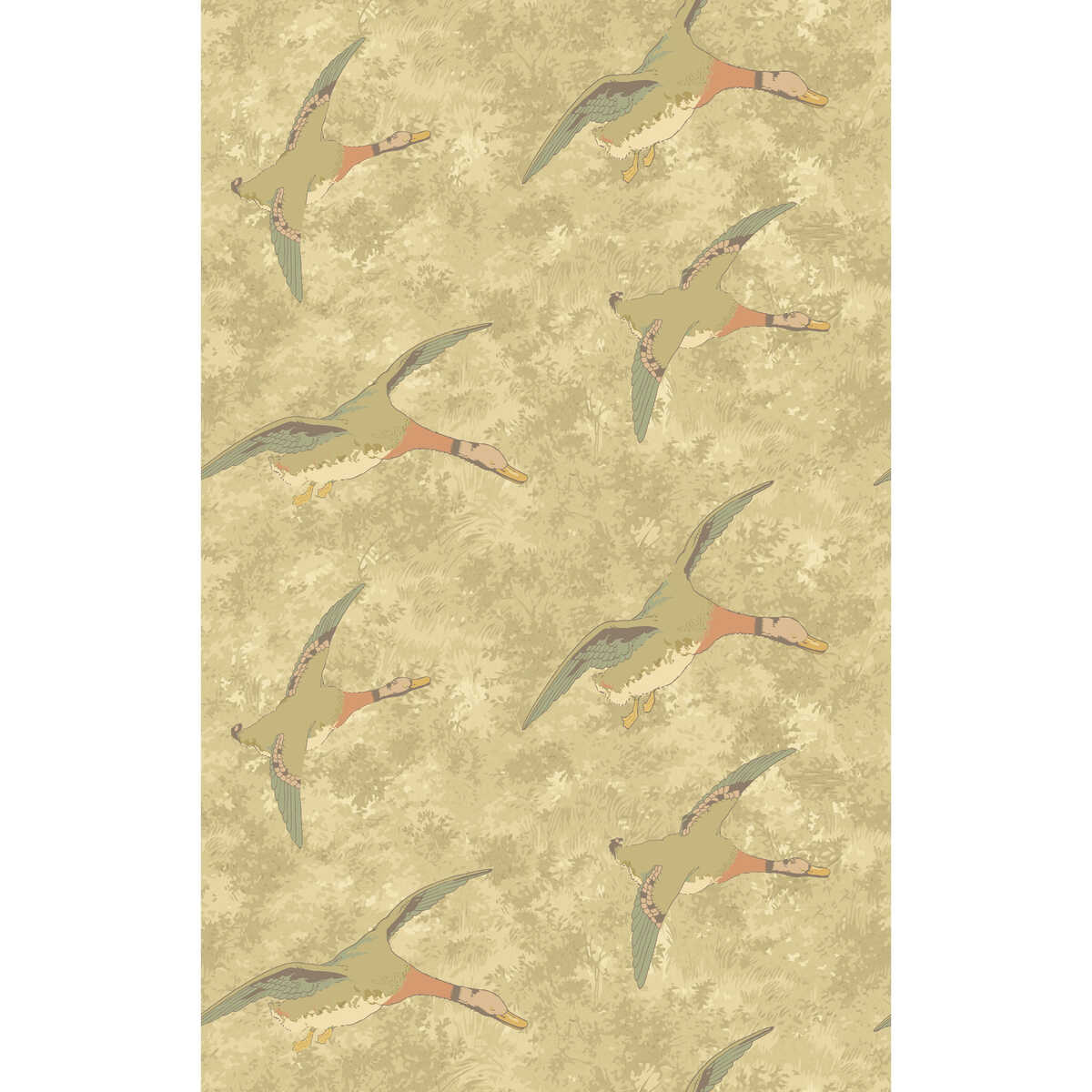 Forest Ducks - Parchment