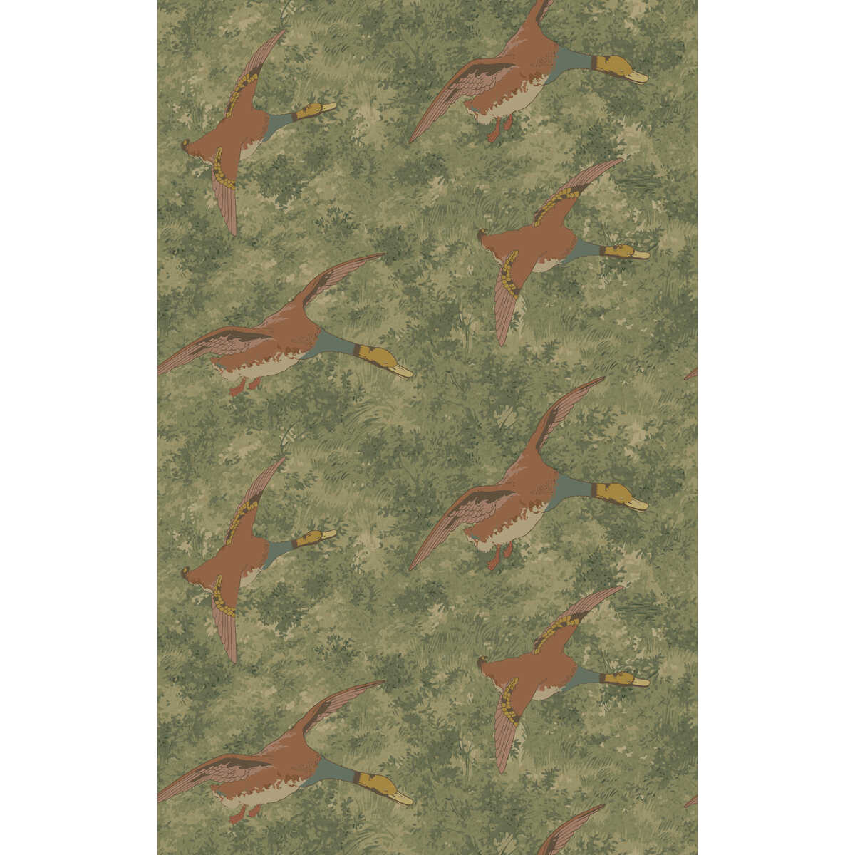 Forest Ducks - Lovat