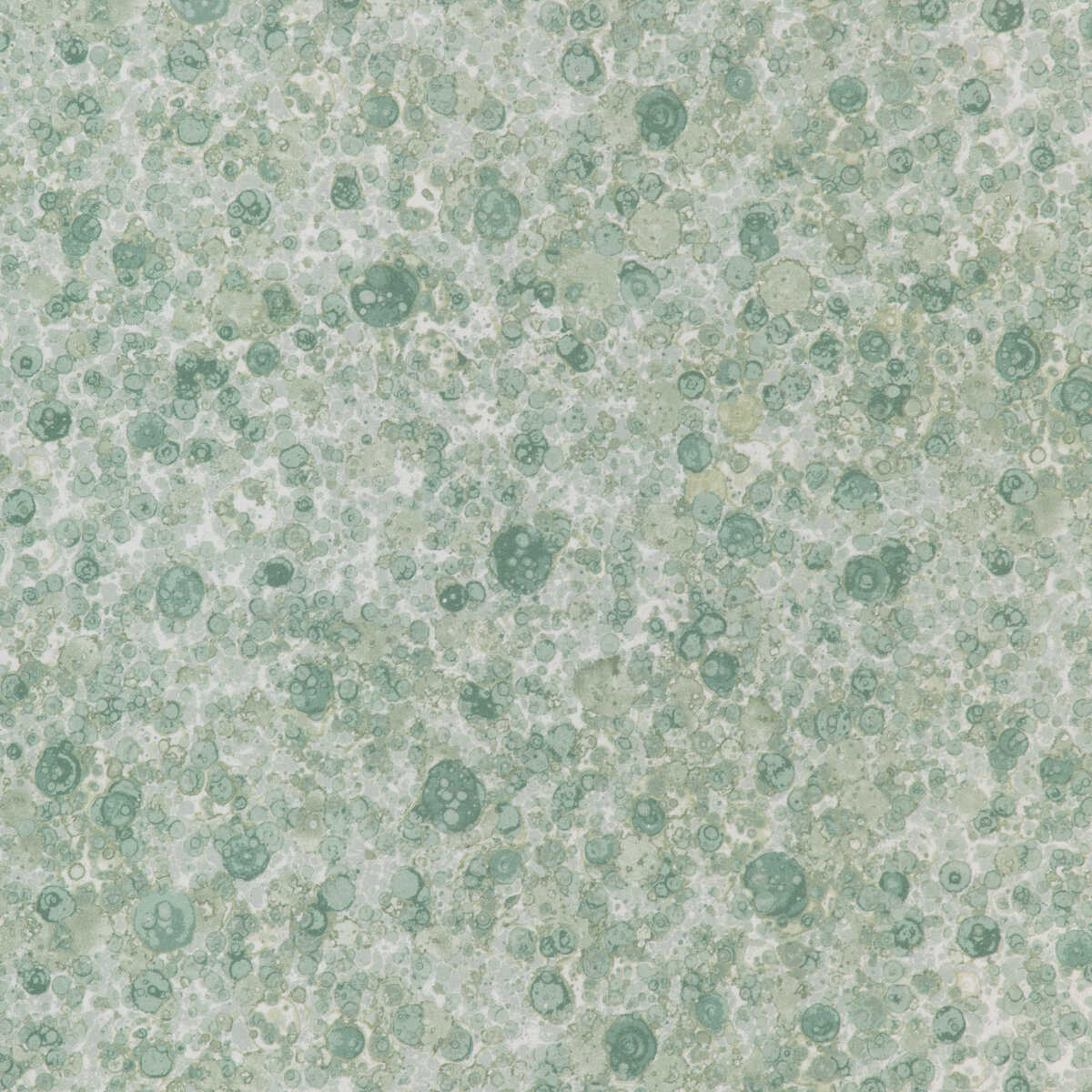 Fizzled - Mint