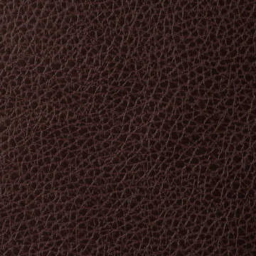 Foothill - Java - KRAVET CONTRACT Fabric