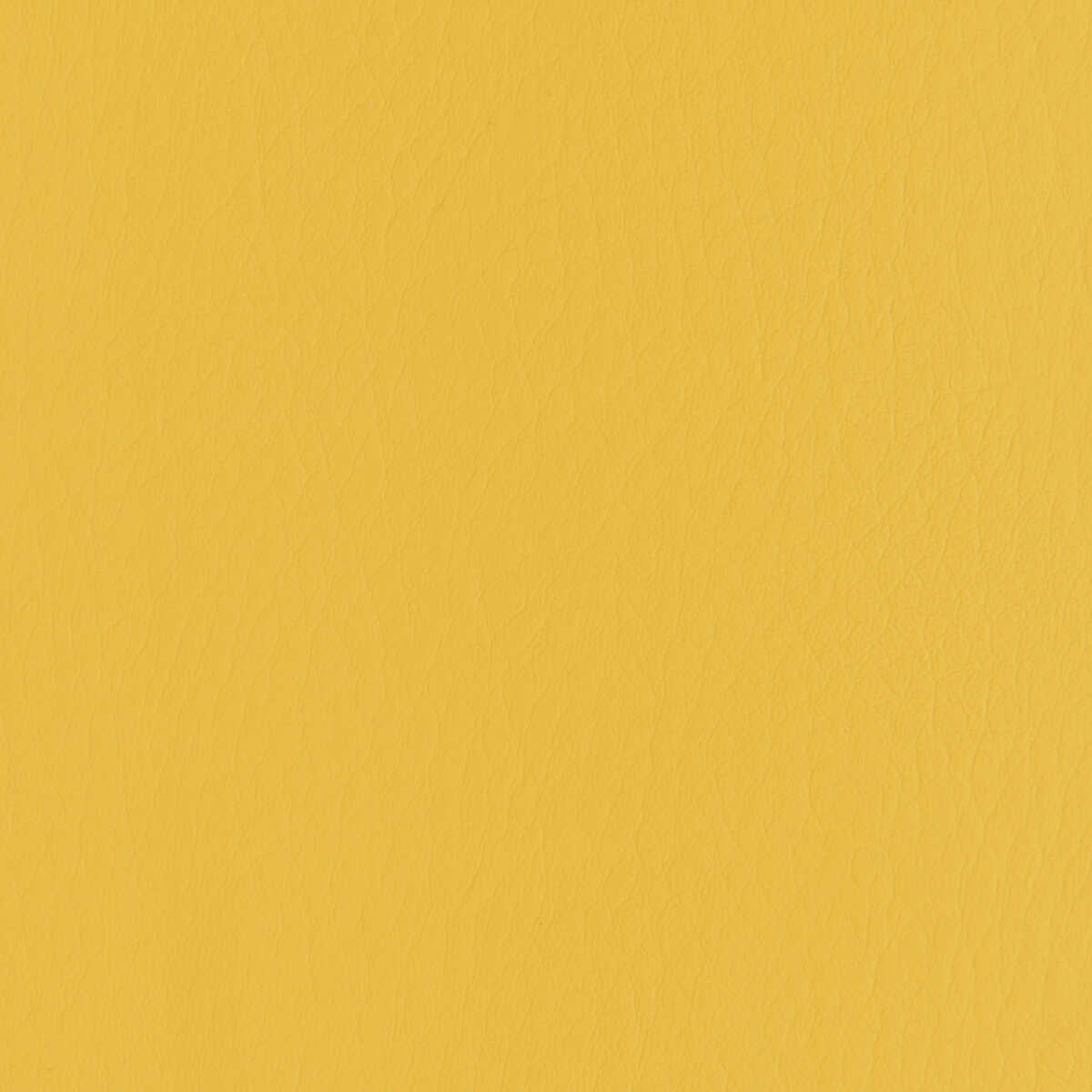 Forza - Dandelion - KRAVET CONTRACT Tela