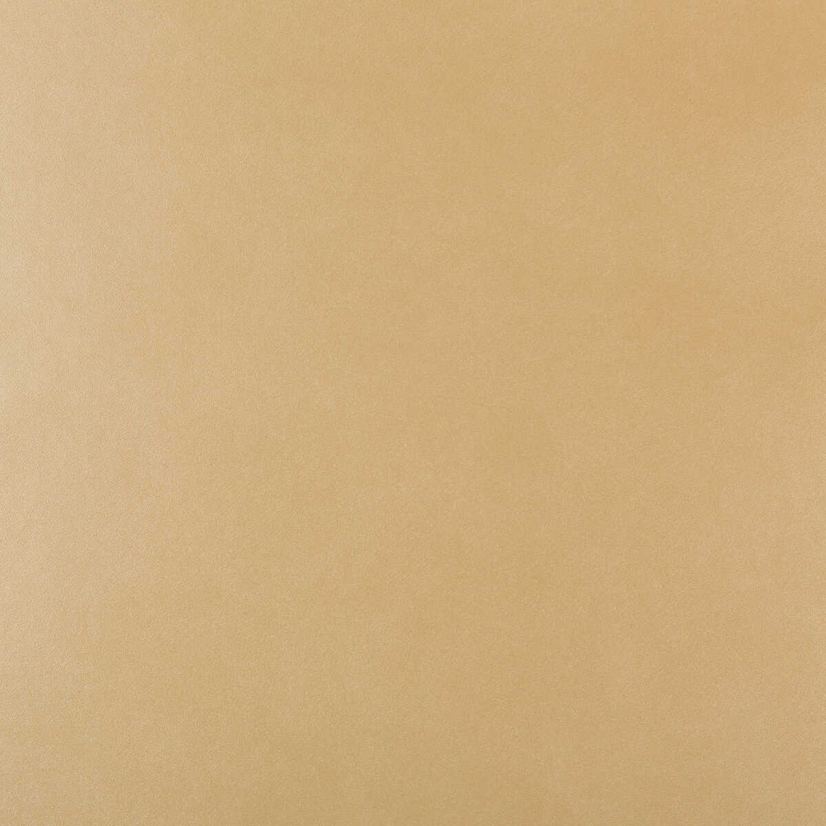 Kravet Design - Frankel-16
