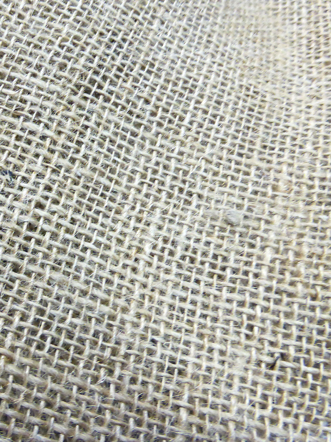 Serpillere Mi Fr - Ecru - Scalamandre Fabric