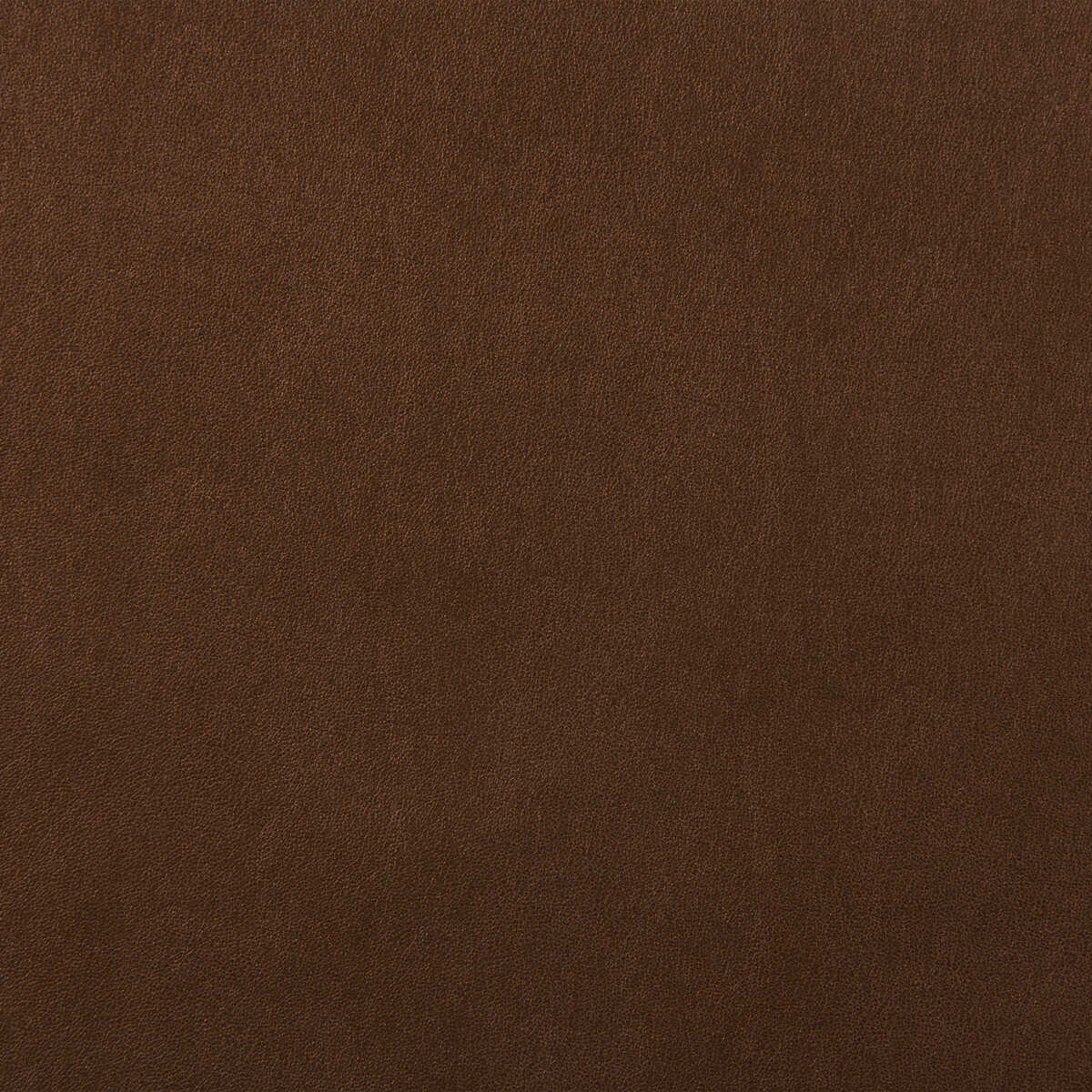Kravet Design - Futuro-6 - KRAVET DESIGN Fabric