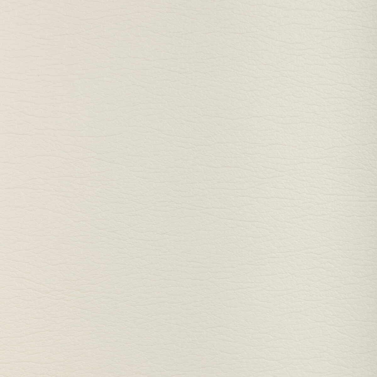 Kravet Design - Gato-116 - KRAVET DESIGN Fabric