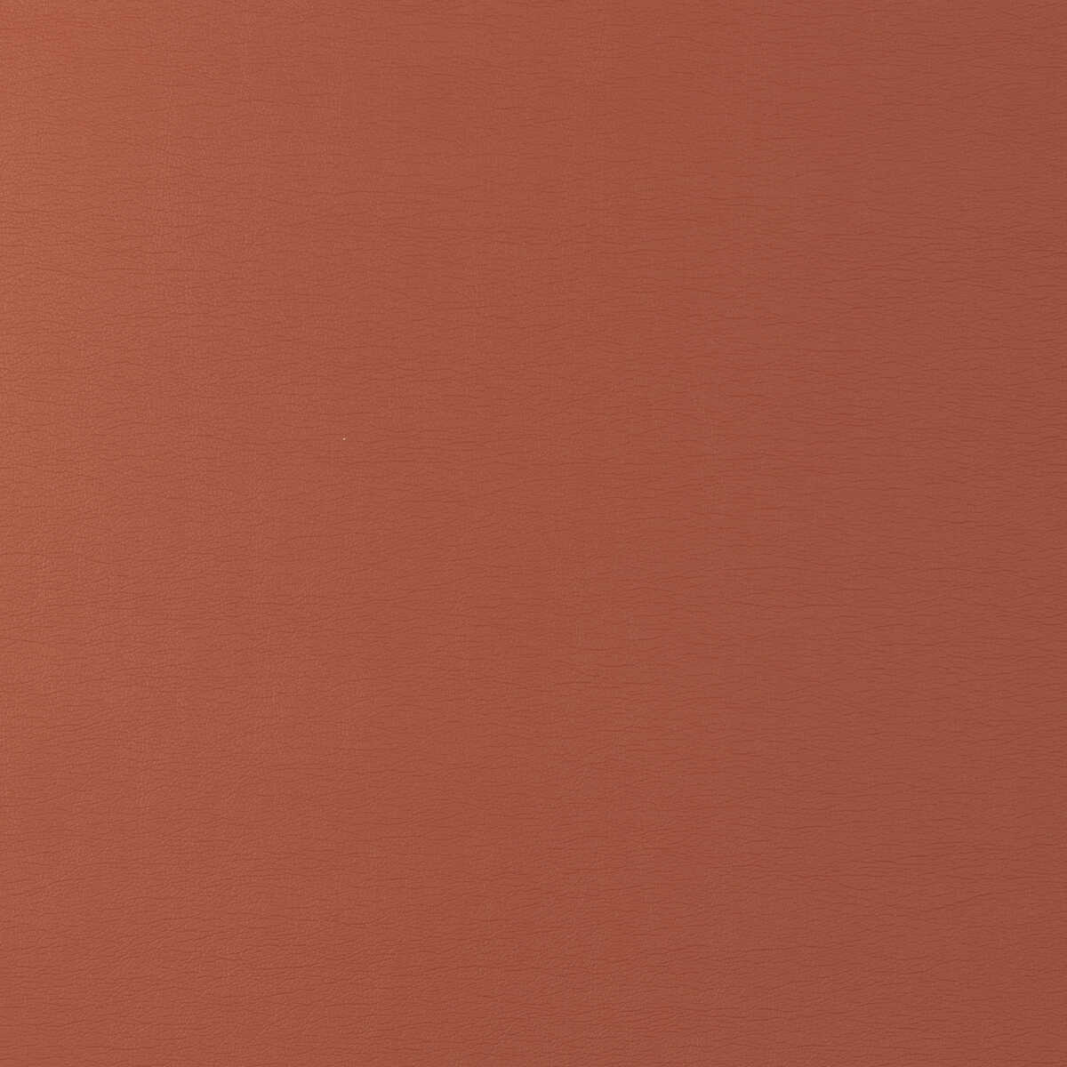 Kravet Design - Gato-12 - KRAVET DESIGN Fabric