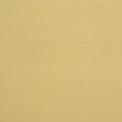 Kravet Design - Gato-16