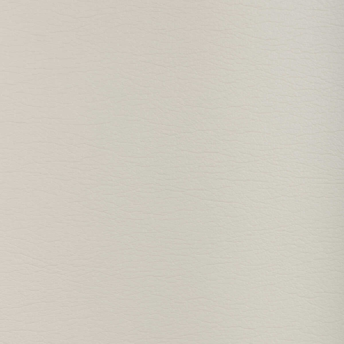 Kravet Design - Gato-1611 - KRAVET DESIGN Fabric