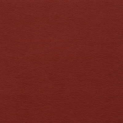 Kravet Design - Gato-19