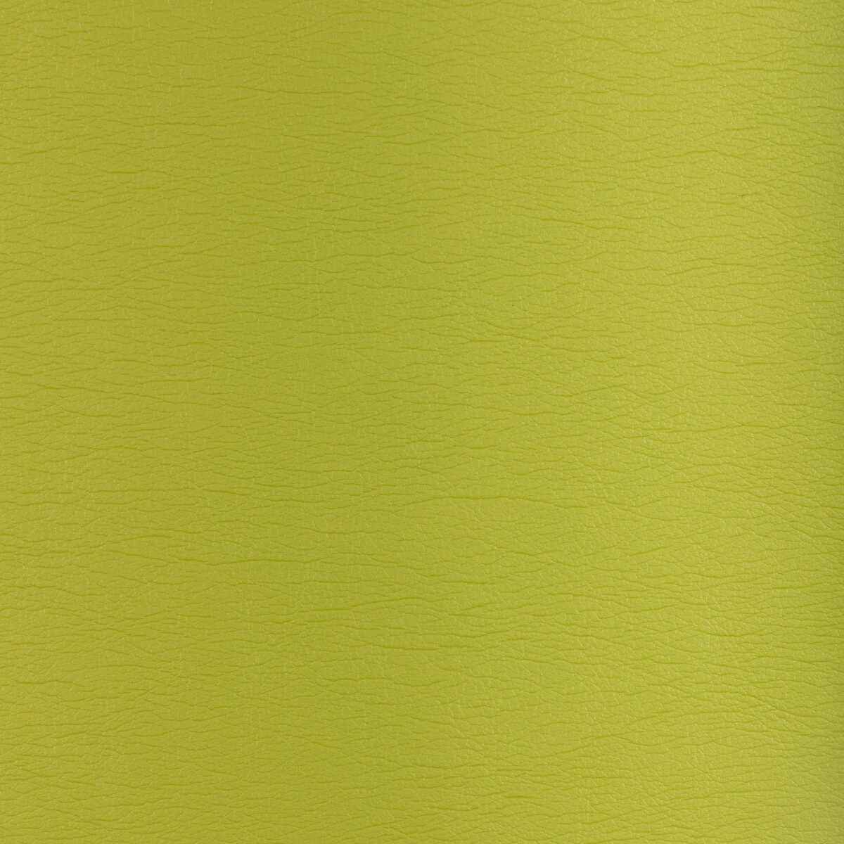 Gato230 Kravet Design Gato 23 Kravet Design Fabric