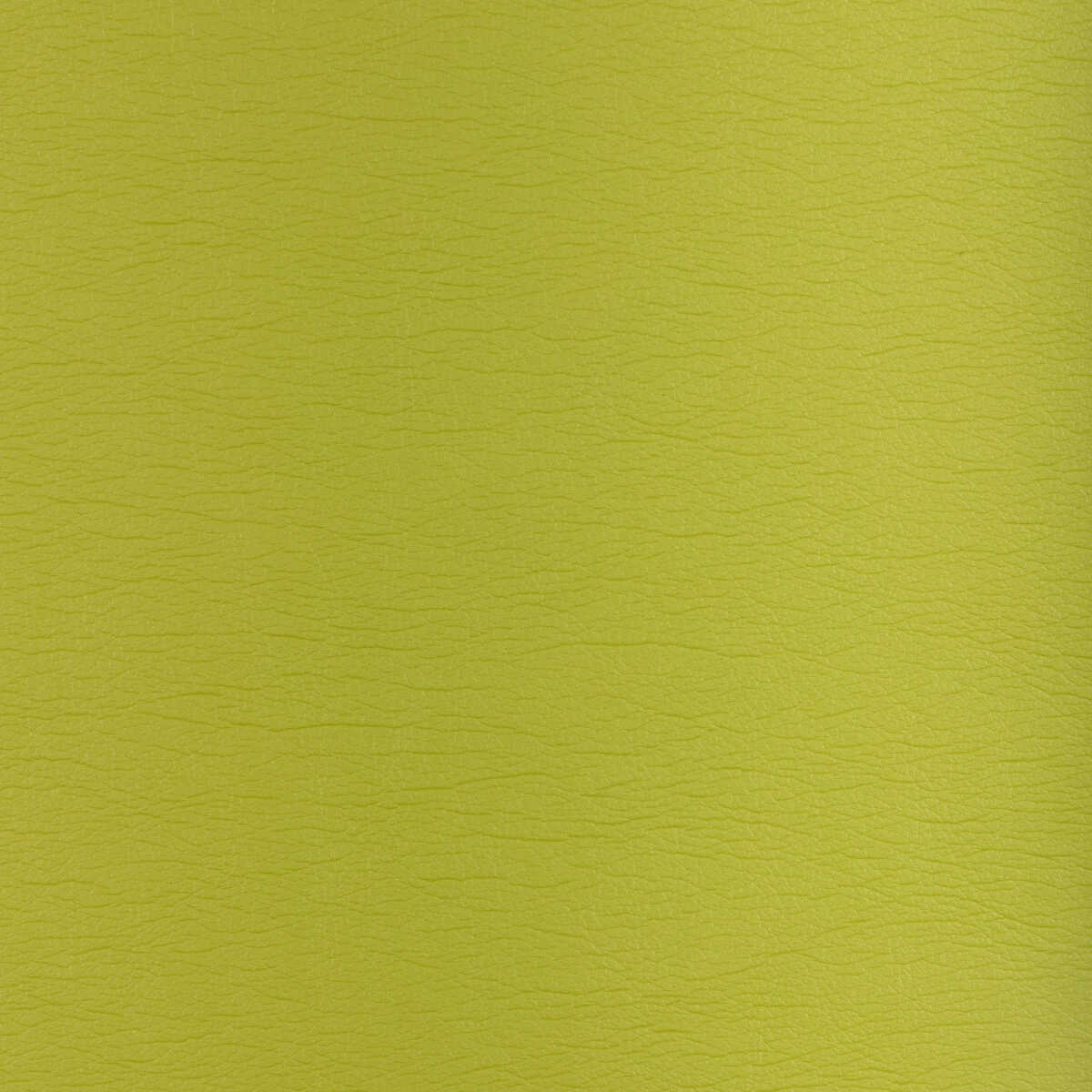 Kravet Design - Gato-23 - KRAVET DESIGN Fabric