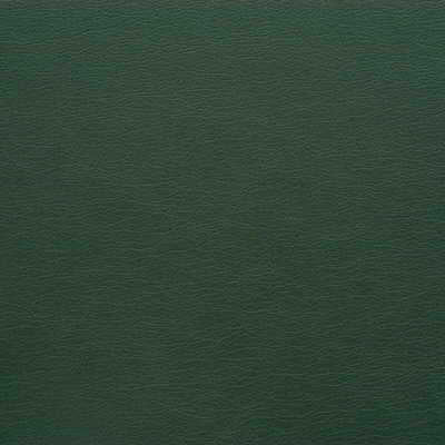 Kravet Design - Gato-303