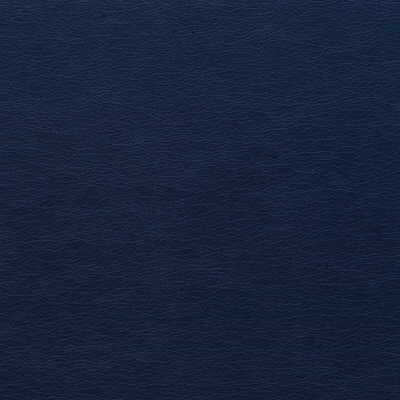 Kravet Design - Gato-50