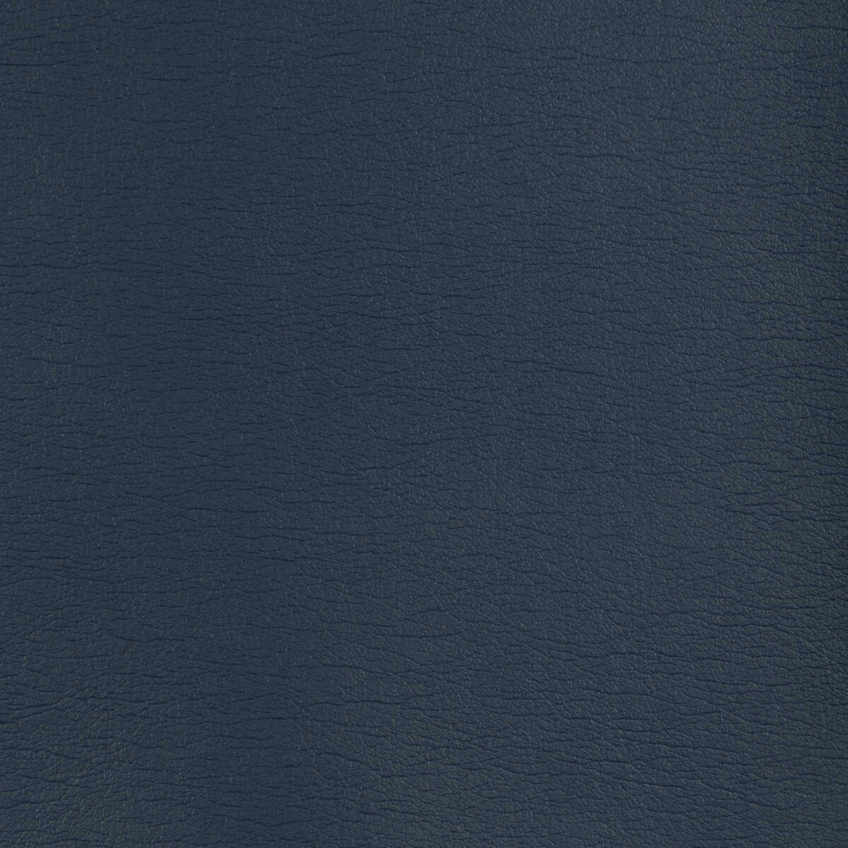 Kravet Design - Gato-515