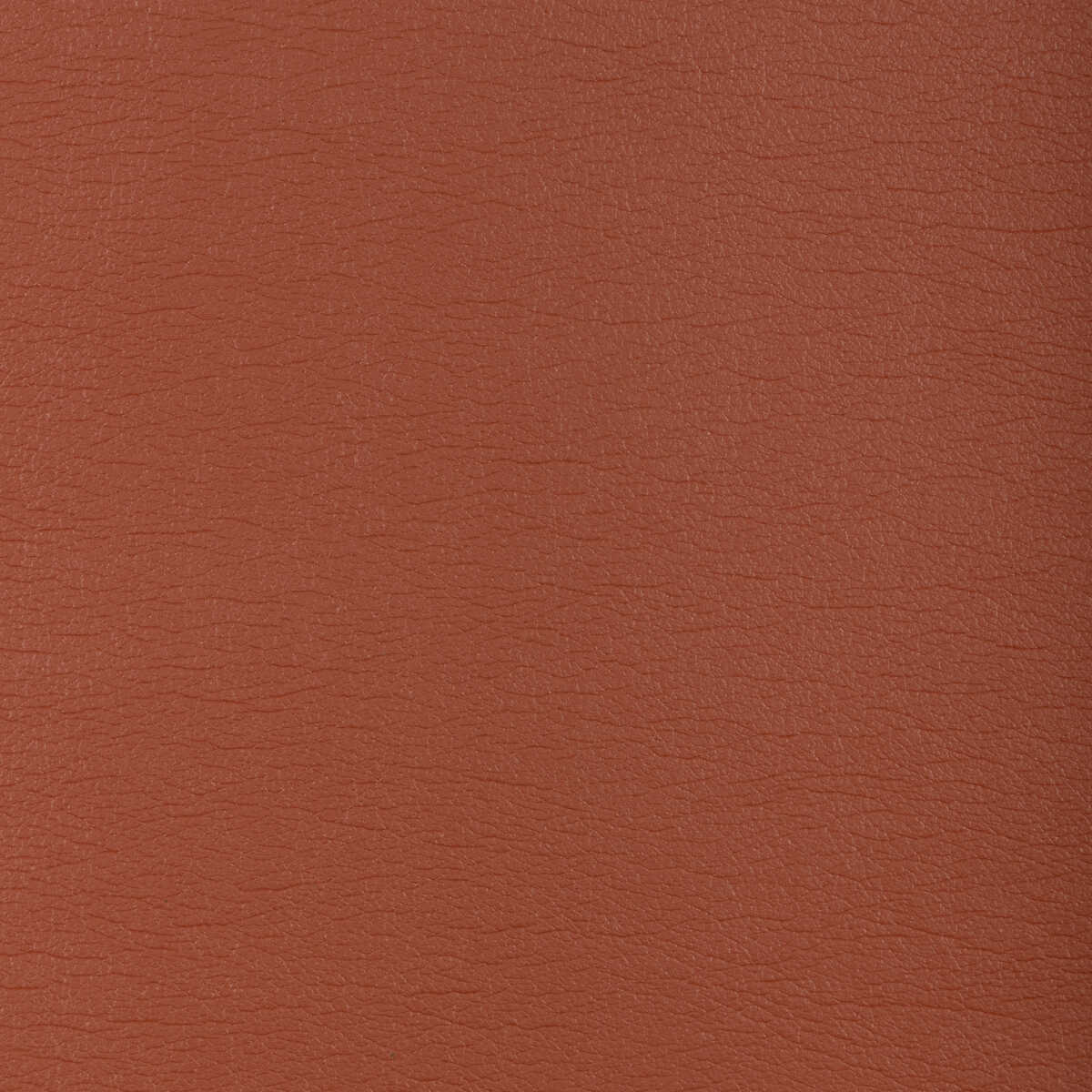 Kravet Design - Gato-612 - KRAVET DESIGN Fabric