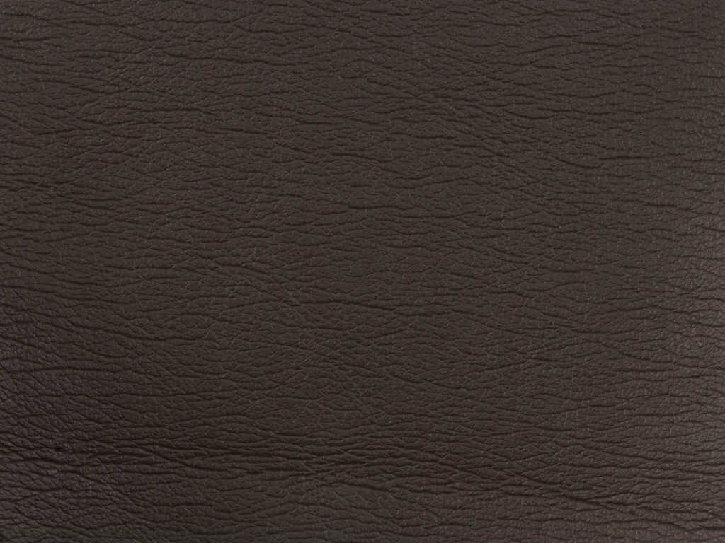 Kravet Design - Gato-6666 - KRAVET DESIGN Fabric